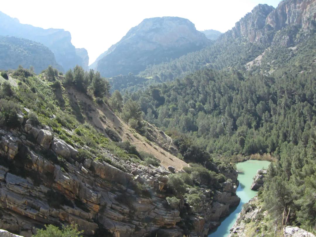 Dolina z turkusową rzeką Guadalhorce i lasem sosnowym na trasie Caminito del Rey
