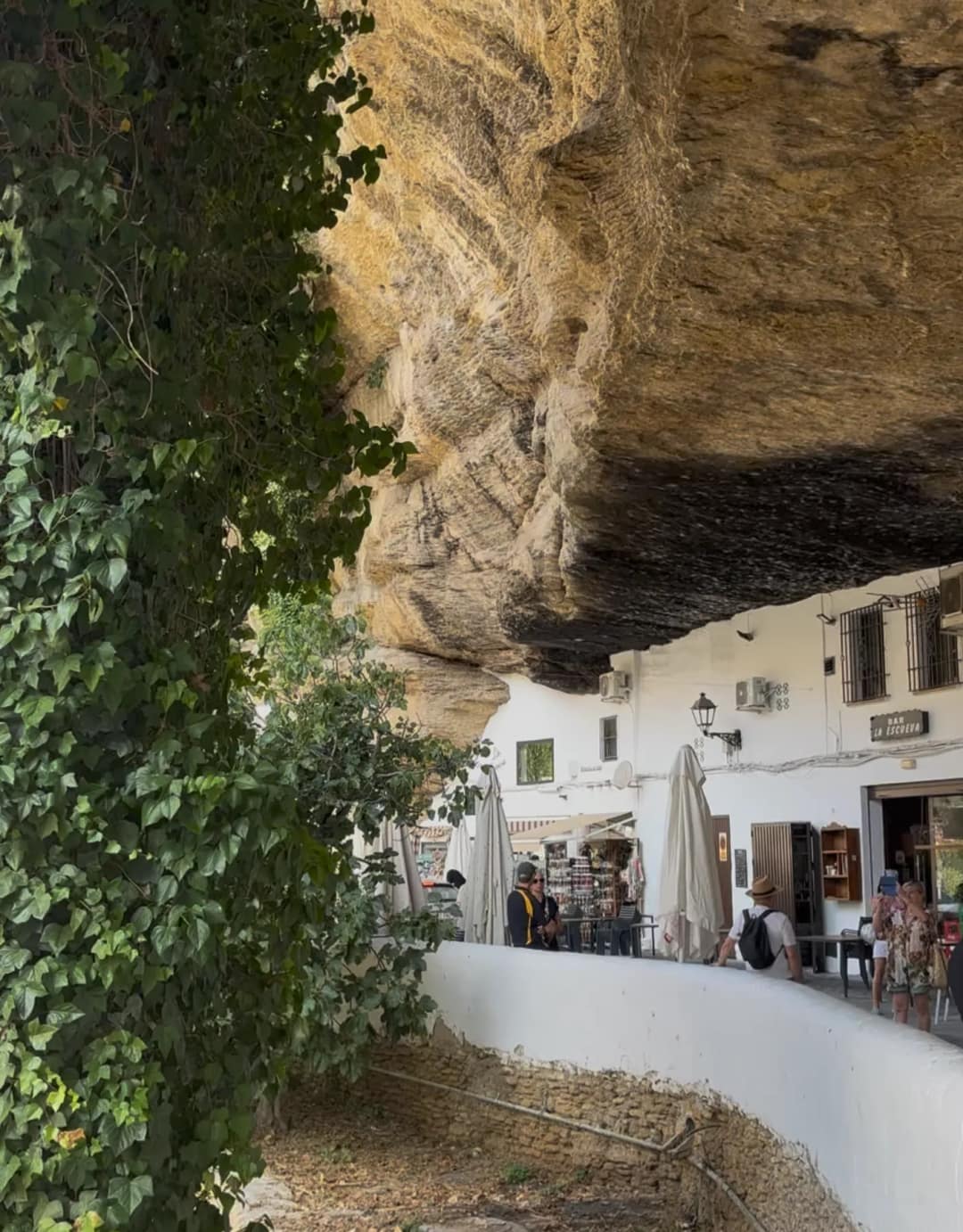 Ulica Cuevas de la Sombra w Setenil de las Bodegas: białe domy i bar pod głębokim skalnym nawisem porośniętym bluszczem