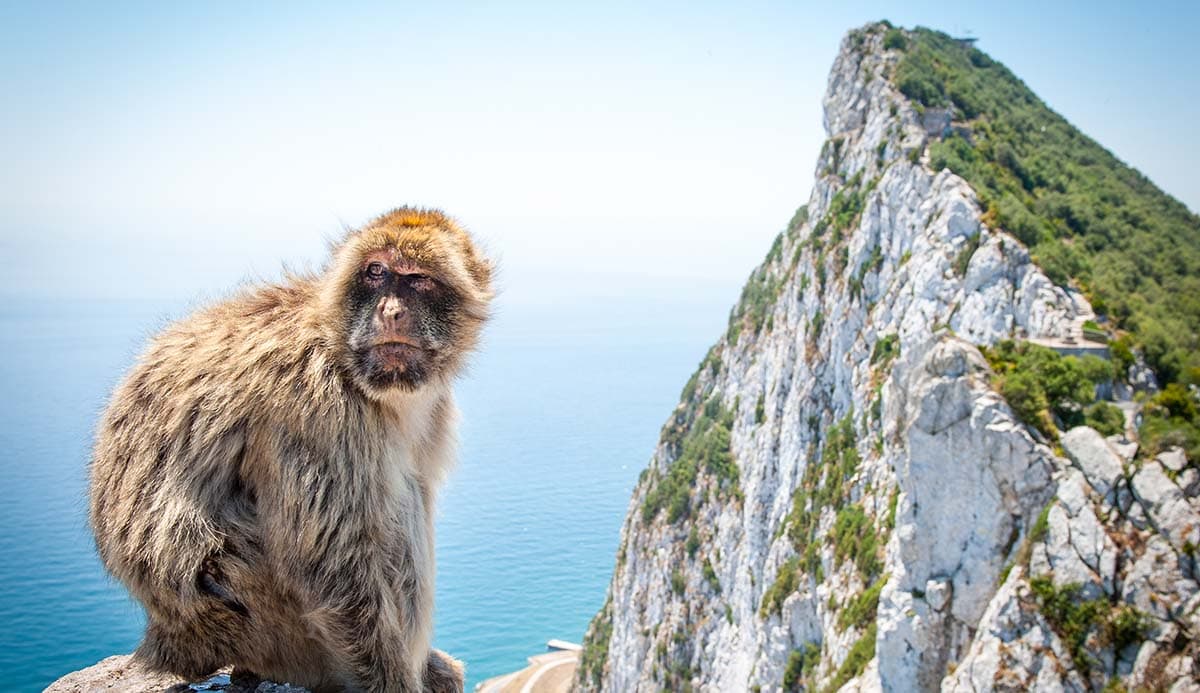 Gibraltar i Marbella — dzień 6